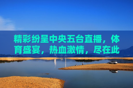 精彩纷呈中央五台直播，体育盛宴，热血激情，尽在此刻，中央五台直播，热血激情的体育盛宴，中央五台直播，热血激情的体育盛宴