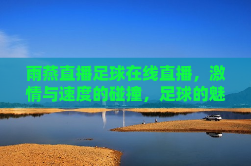 雨燕直播足球在线直播，激情与速度的碰撞，足球的魅力时刻，雨燕直播，足球激情与速度的碰撞，雨燕直播，足球激情与速度的碰撞