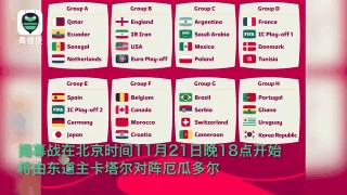 2022世界杯分组(2022世界杯分组对阵图)