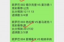 竞彩胜平负计算器(竞彩胜平负计算器彩客)