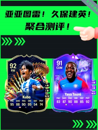 亚亚图雷(科洛图雷和亚亚图雷)