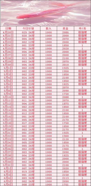 竞彩足球比赛规则(竞彩足球玩法规则大全)