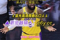 湖人vs掘金直播(湖人vs掘金直播在线观看)