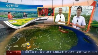 直播中央一台(电视直播在线直播中央一台)，电视直播在线观看，中央一台直播，中央一台直播，电视直播在线观看
