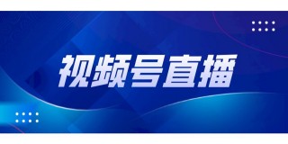 卫视在线直播回看大全(直播卫视在线直播观看回看)