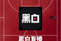 什么软件可以看nba直播免费(什么软件可以看nba直播免费视频)