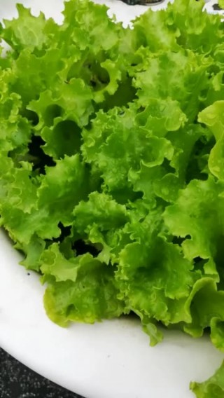 360绿色直播(360绿色直播体育赛事直播)