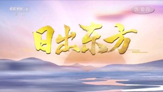 东方卫视电视回放(东方卫视电视回放节目单)