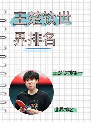 男单乒乓球世界排名(男单乒乓球世界排名最新排名表)