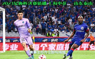 山东泰山比赛直播(山东泰山比赛直播雨燕)