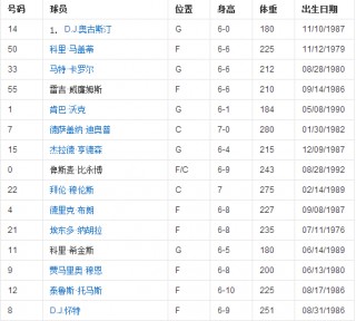 nba球员名单(nba独行侠球员名单)