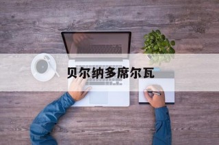 贝尔纳多席尔瓦(贝尔纳多席尔瓦加点)