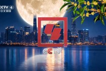 cctv4在线直播观看高清(cctv4在线直播观看高清版免费下载安装)