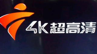 广东卫视在线直播高清(广东卫视在线直播高清回放)