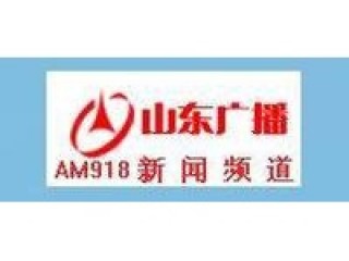 山东电视台新闻频道(山东电视台新闻频道节目表)，山东电视台新闻频道节目表揭秘，山东电视台新闻频道节目表揭秘，探索新闻资讯的源头
