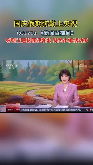 cctv13手机版在线直播(cctv13手机在线直播观看正在直播cct中央电视台4)