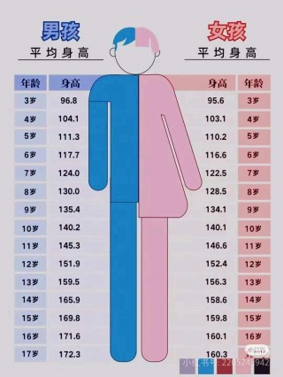 身高(身高体重指数 BMI )