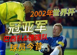 2002年世界杯排名(2002年世界杯第31名)