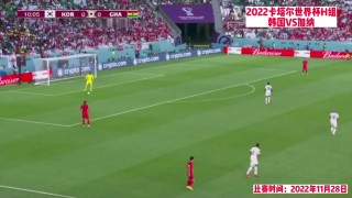 2022世界杯回放免费观看(2022世界杯回放免费观看阿根廷)