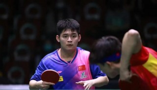 乒乓球男单决赛最新消息(乒乓球男单决赛最新消息直播视频回放)，乒乓球男单决赛最新进展，直播视频回放揭晓，乒乓球男单决赛揭晓，最新进展与直播视频回放