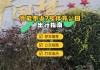 鲁能泰山7号(鲁能泰山7号二手房)
