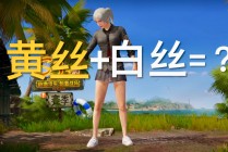 b站刺激战场直播(B站刺激战场直播TV)