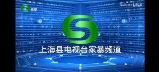上海电视台直播在线观看(上海电视台直播在线观看平台介绍)