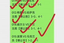 巴西vs比利时历史比分(巴西与比利时的比赛谁会赢)