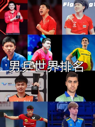 男乒世界排名(男乒世界排名一览表前30)