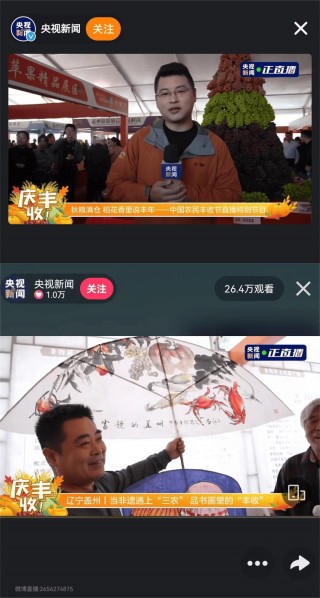 中央12台在线直播(中央12台在线直播节目)