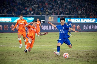 武汉三镇中超冠军(武汉三镇中超冠军斯坦丘)