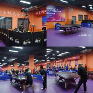 体育乒乓球比赛直播(体育乒乓球比赛直播视频)
