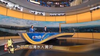 中央电视台8套直播在线观看(中央电视台8套在线直播电视剧)