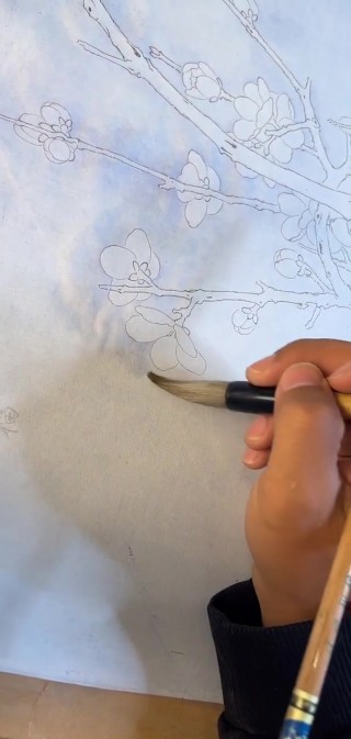 免费上色的直播(免费上色的直播影视)