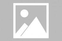 尼克斯vs公牛(尼克斯vs公牛大小分预测)