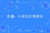中央一套直播在线观看高清直播(中央一套直播在线观看高清直播新闻联播)