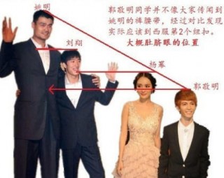 姚明身高(姚明身高臂展体重)，姚明的身高与体型特征，身高臂展体重一览，姚明的身高与体型特征，身高臂展体重一览