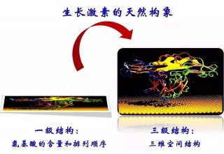 长效生长激素和短效生长激素的区别(长效生长激素和短效生长激素的区别是什么)