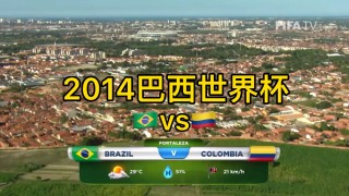 2014年巴西世界杯决赛全场回放(2014巴西世界杯决赛全场回放央视)