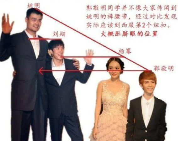 姚明身高(姚明身高臂展体重)，姚明的身高与体型特征，身高臂展体重一览，姚明的身高与体型特征，身高臂展体重一览  第1张