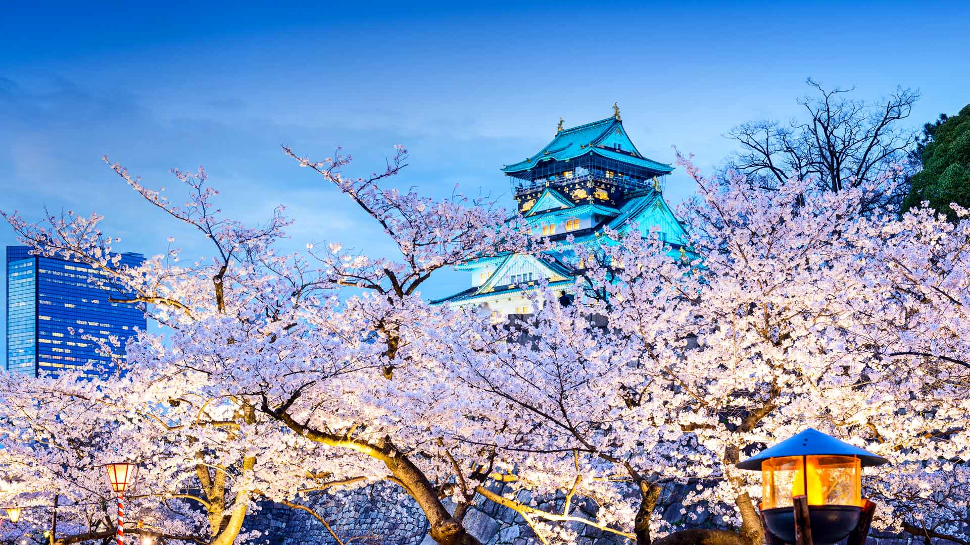 大阪(大阪艺术大学)  第1张