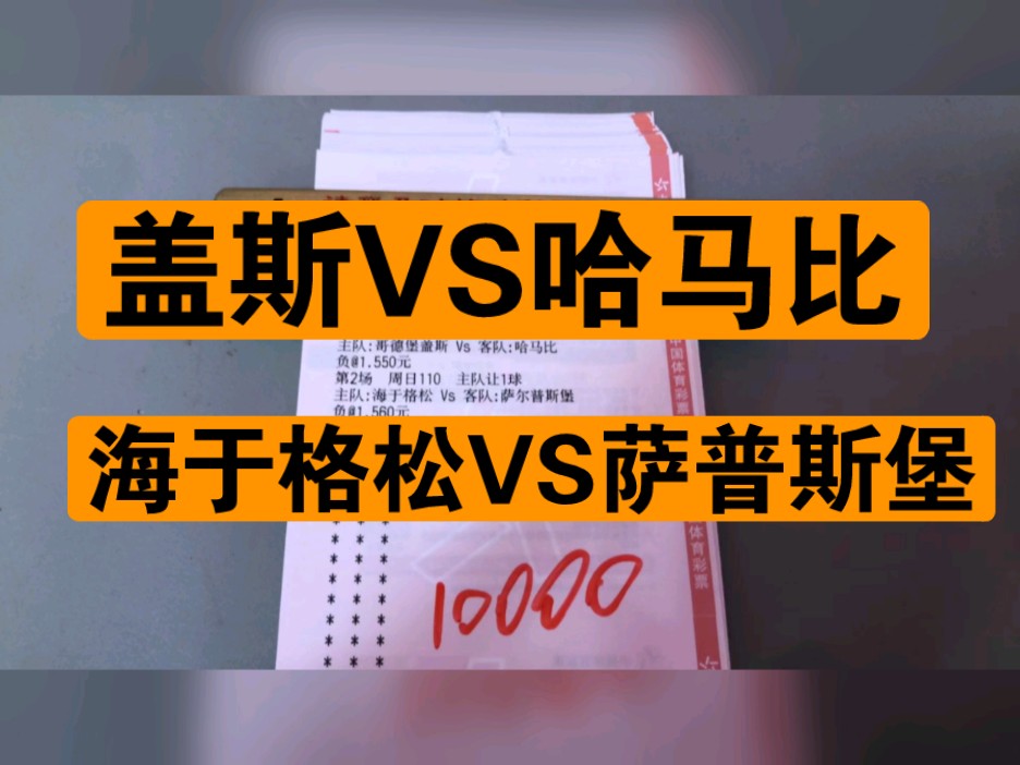 埃尔夫斯堡vs哈马比比分预测(埃尔夫斯堡vs哈尔姆斯塔德比赛结果)  第1张