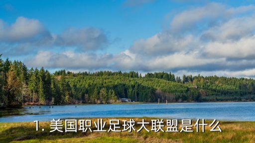 美国职业足球大联盟排名(美国大联盟排名积分榜射手榜)  第1张