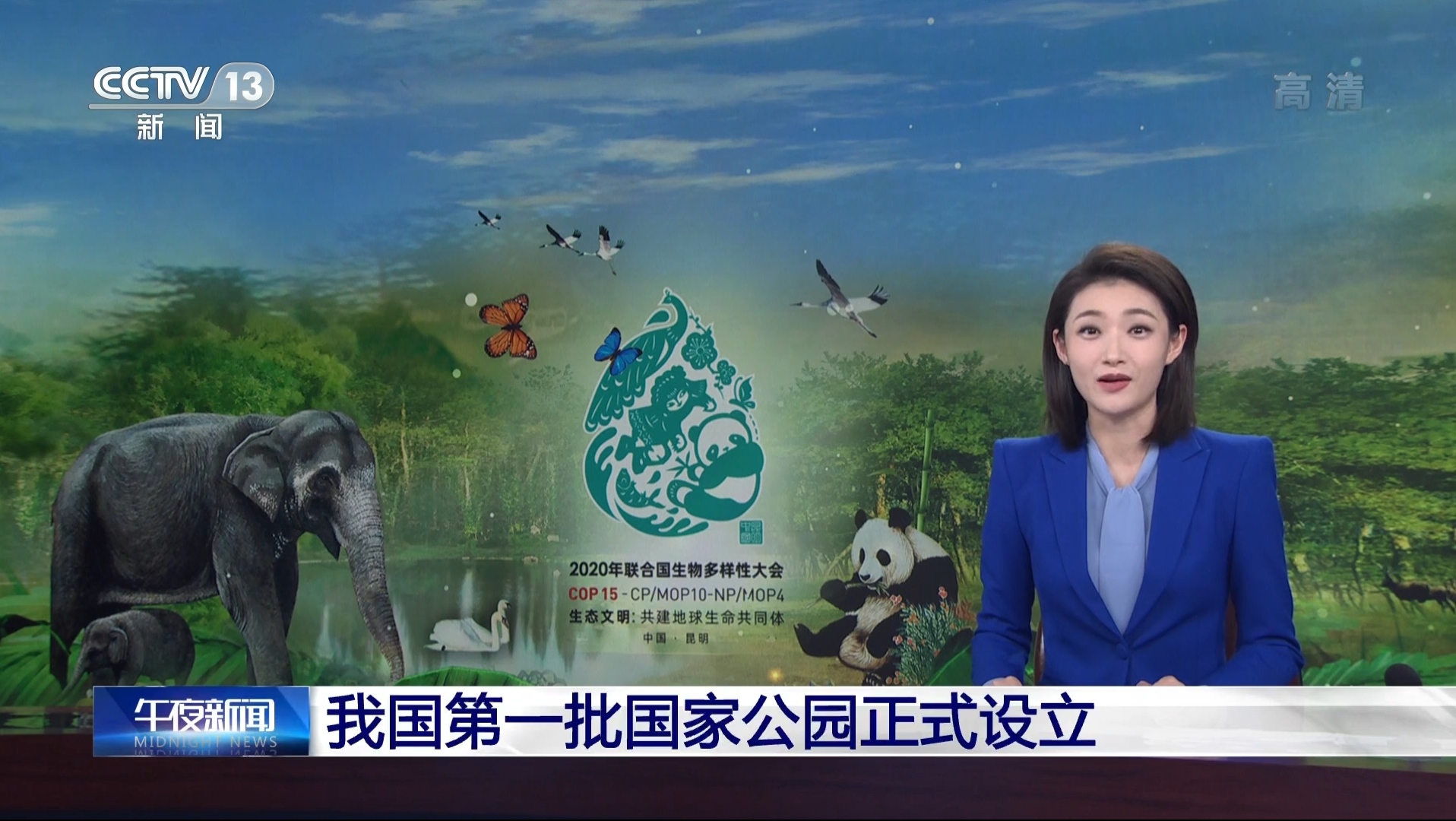 中央一台在线直播观看视频播放(中央一台在线直播观看视频播放开学第一课)  第1张