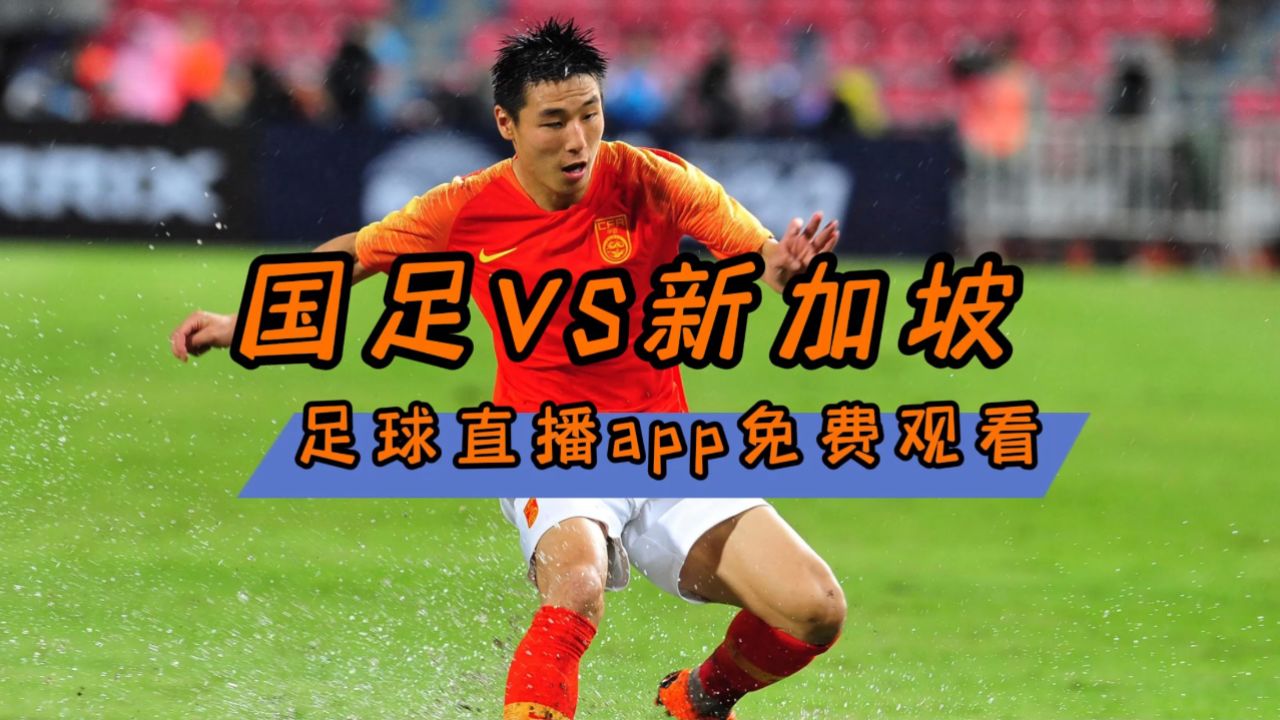 世界杯直播平台(世界杯直播平台网站)  第1张