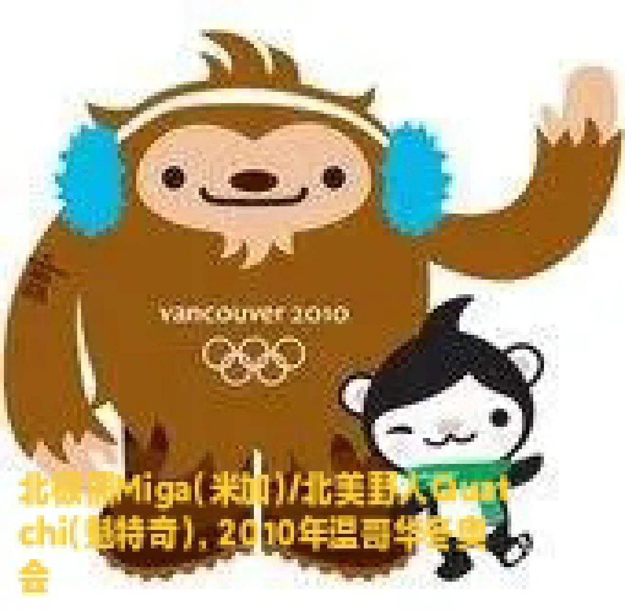 历届冬奥会(历届冬奥会奖牌榜汇总)  第2张