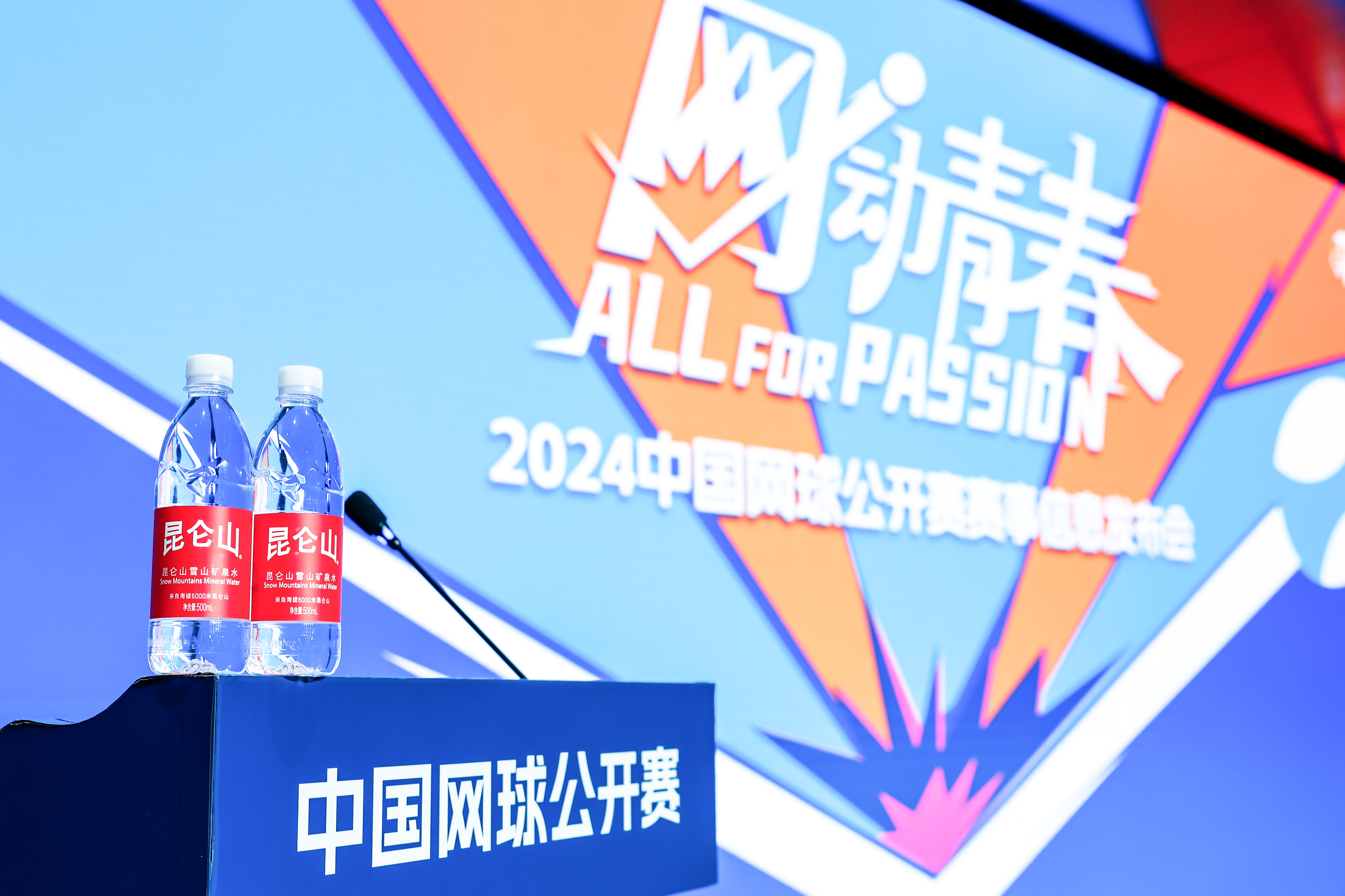 中国网球公开赛(第一届中国网球公开赛)  第1张