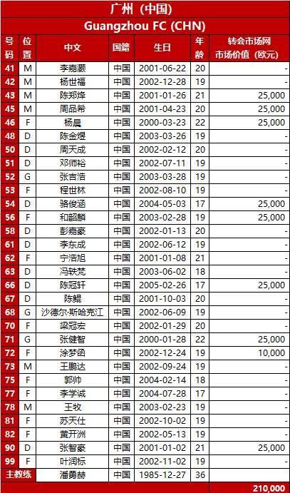 广州恒大亚冠名单(广州恒大亚冠冠军阵容)  第1张