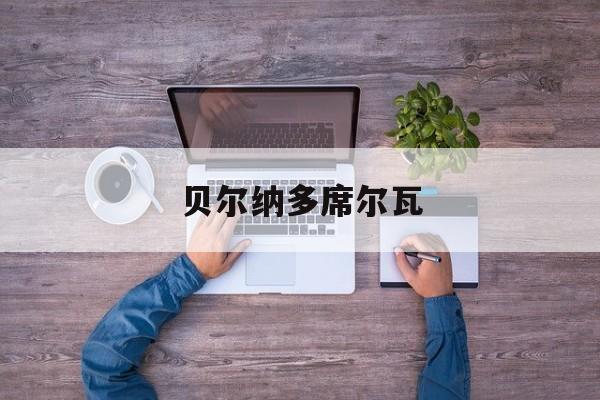 贝尔纳多席尔瓦(贝尔纳多席尔瓦加点)  第1张